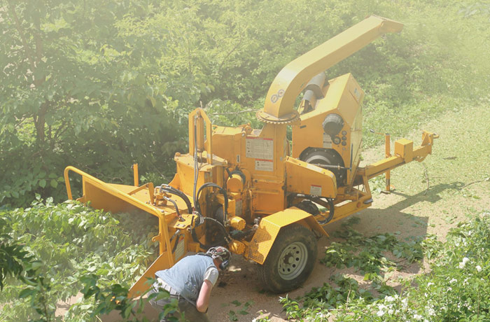 Tree Maintenance Services