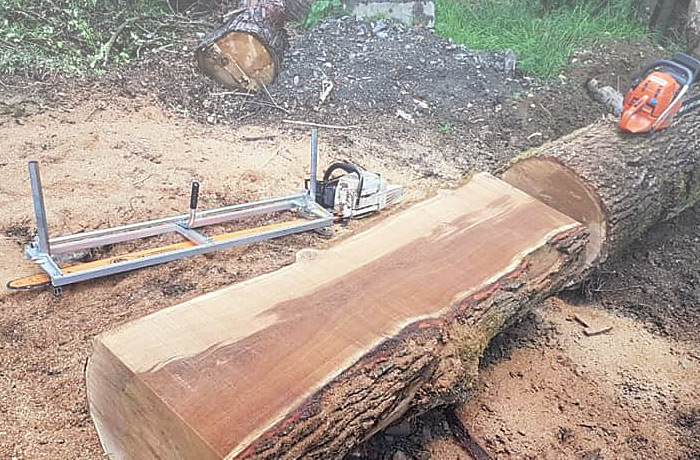 Tree Maintenance Services