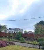 All in a days work! 8 Cypress and 1 Ash