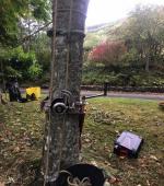 Monster leaning Ash rig