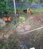 Monster leaning Ash rig