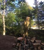 Monster leaning Ash rig