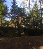 Monster leaning Ash rig